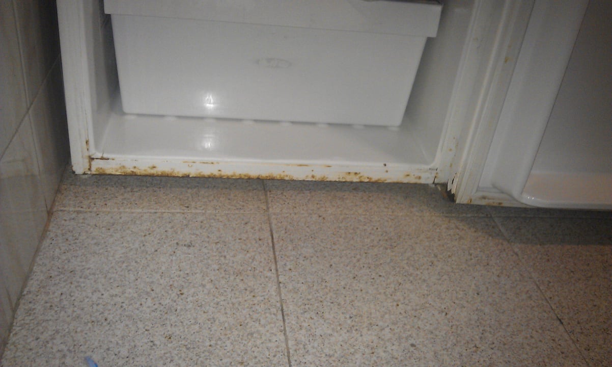 Der Kühlschrank im Zimmer Hotel LIVVO Veril Playa