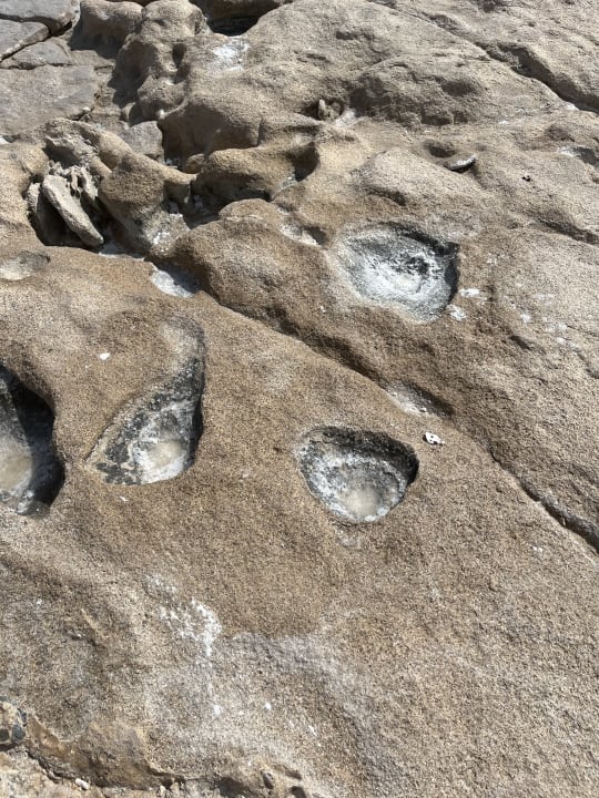 Strand Coral Hills Resorts & SPA