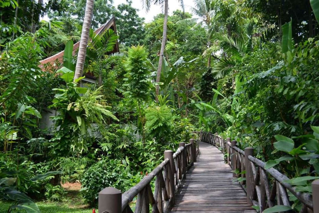 Dschungelfeeling Marina Phuket Resort