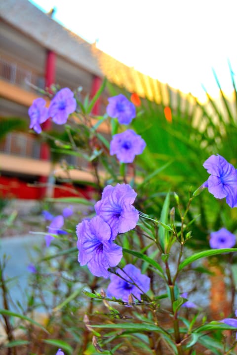 Gartenanlage Gloria Palace Royal Hotel & Spa