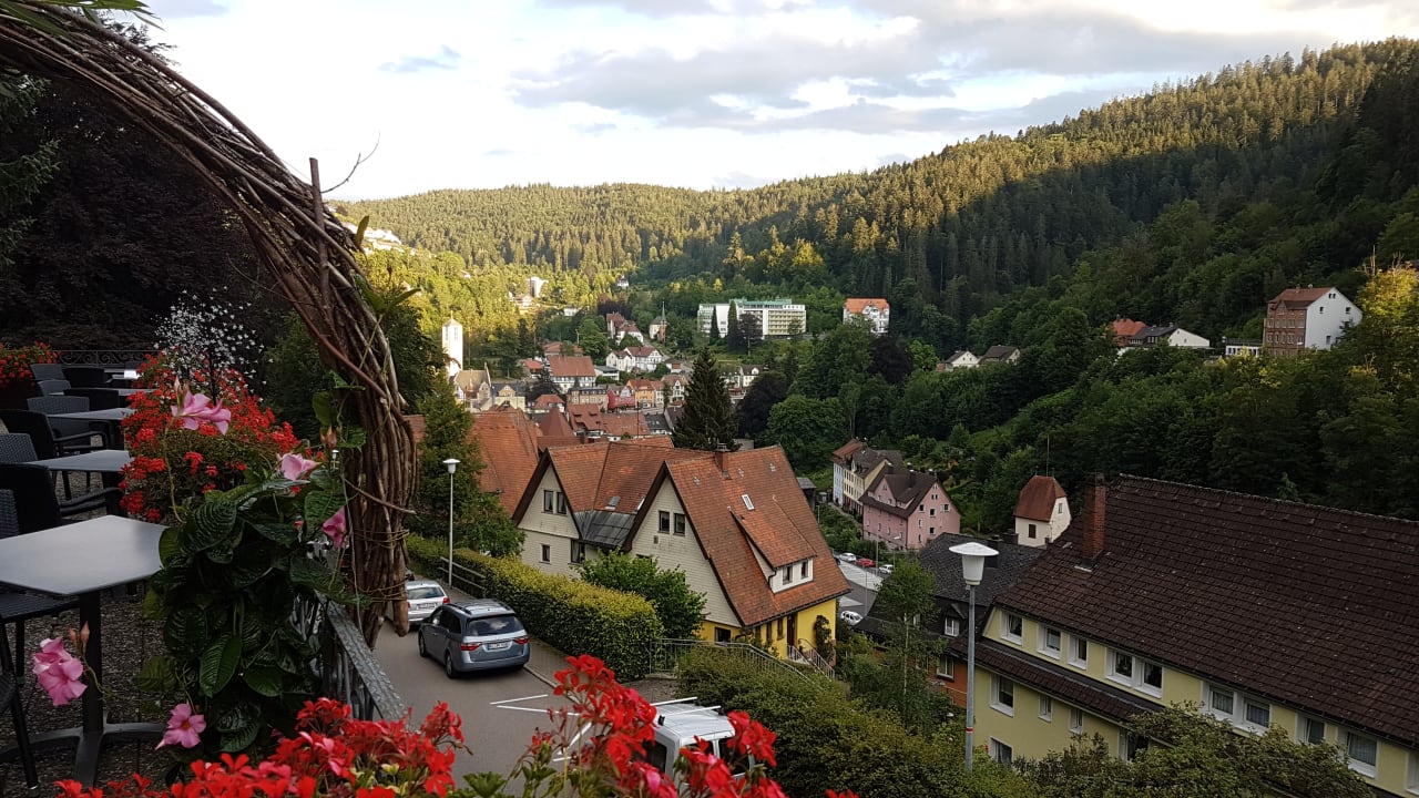 Ausblick Best Western Plus Schwarzwald Residenz