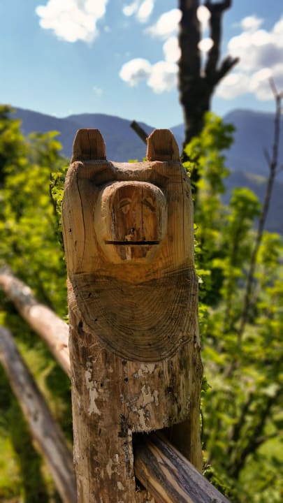 Zaun Ferienbauernhof Löchlerhof Lüsen Dolomites