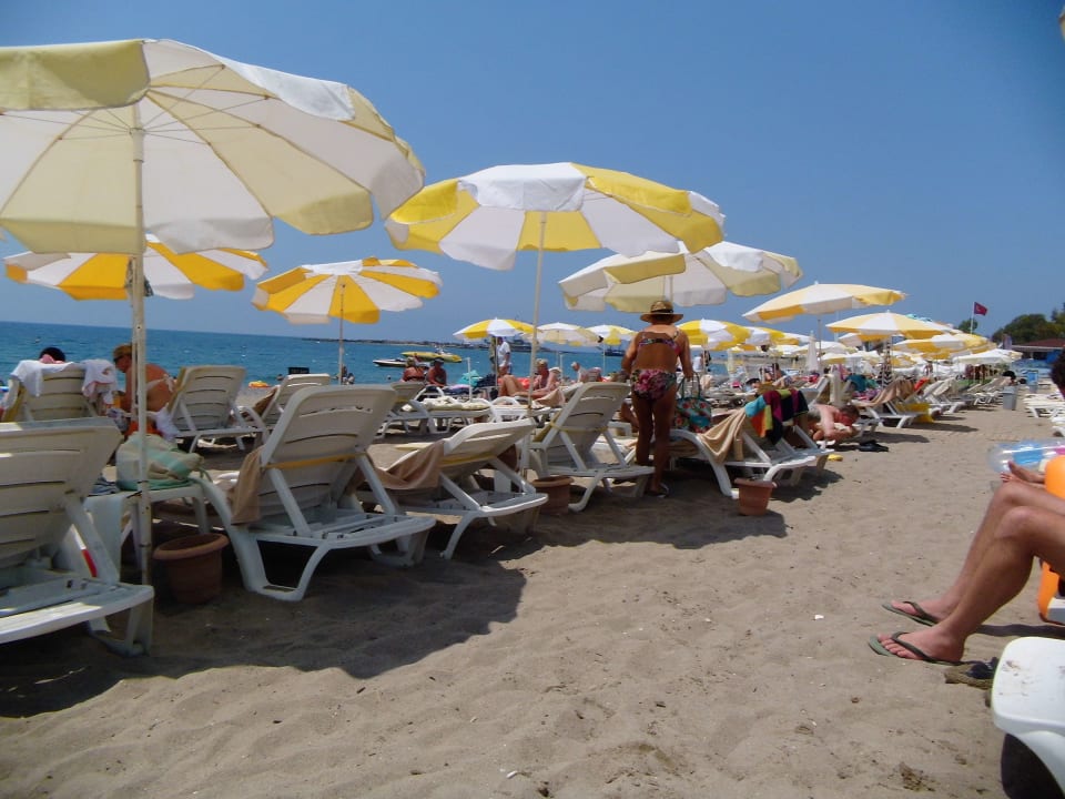 Strand Hotel Gardenia Beach