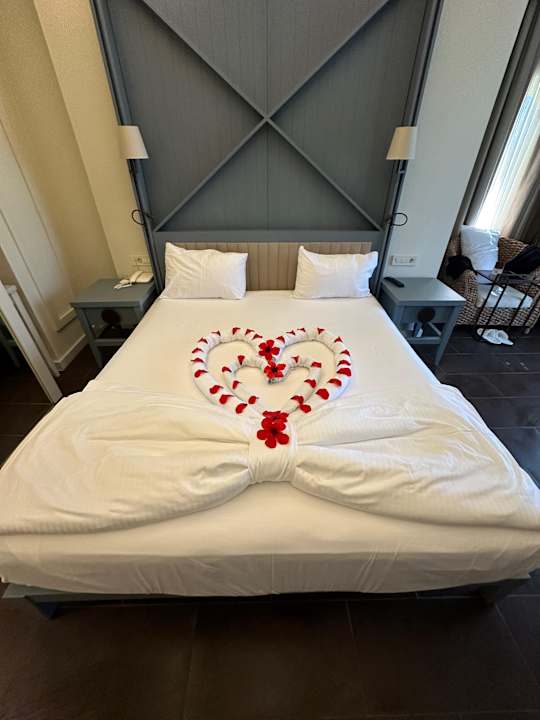 Zimmer Voyage Sorgun