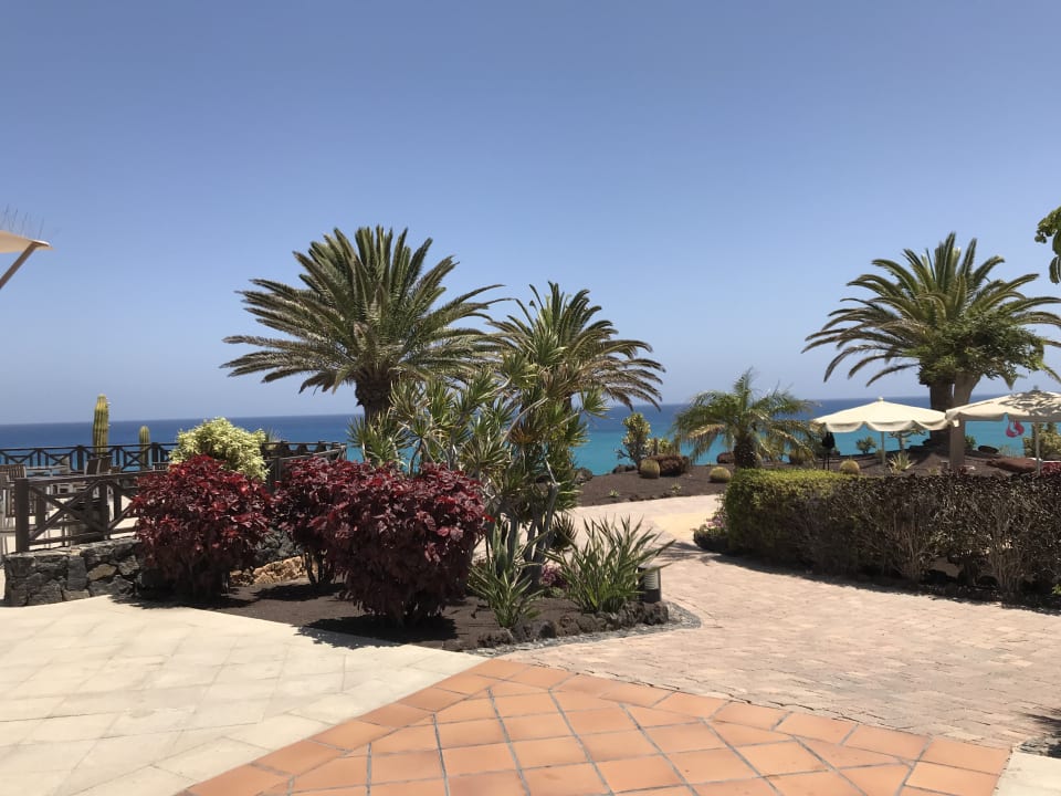 Gartenanlage R2 Pajara Beach