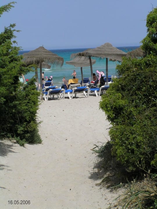 Weg zum Strand! Iberostar Selection Albufera Park