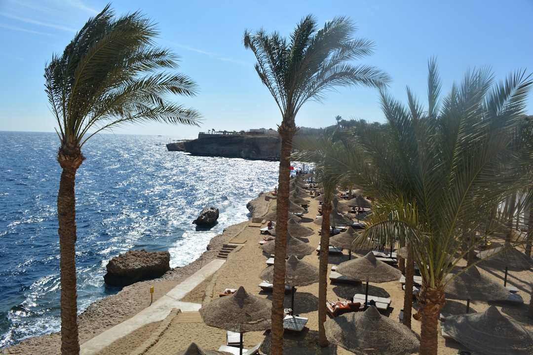 See The Grand Hotel Sharm El Sheikh