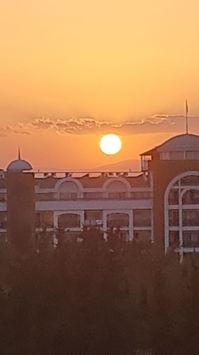 Ausblick Asteria Collection Side