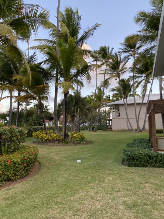 Gartenanlage Hotel Grand Palladium Palace Resort, Spa & Casino