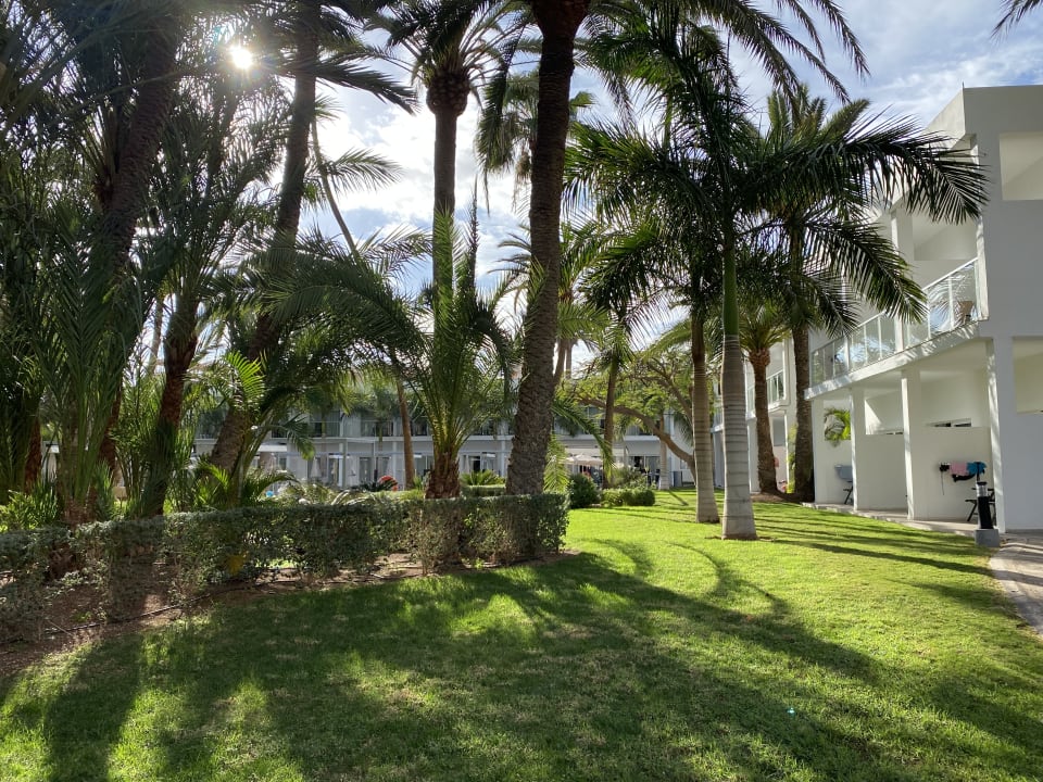 Gartenanlage Hotel Riu Palace Oasis