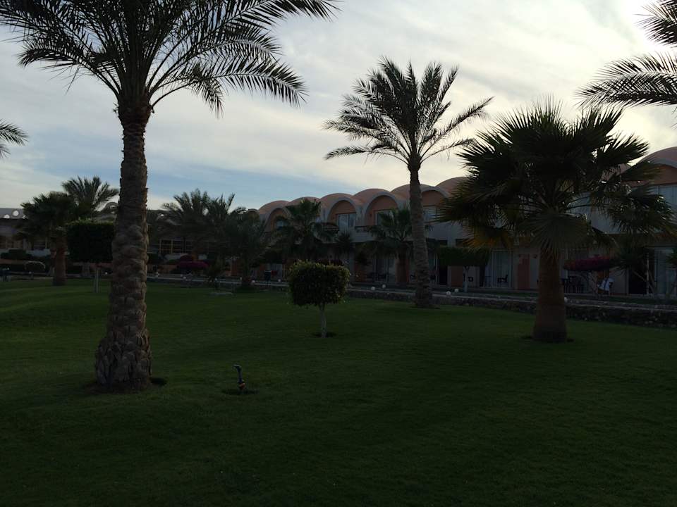 Gartenanlage Three Corners Sea Beach Resort