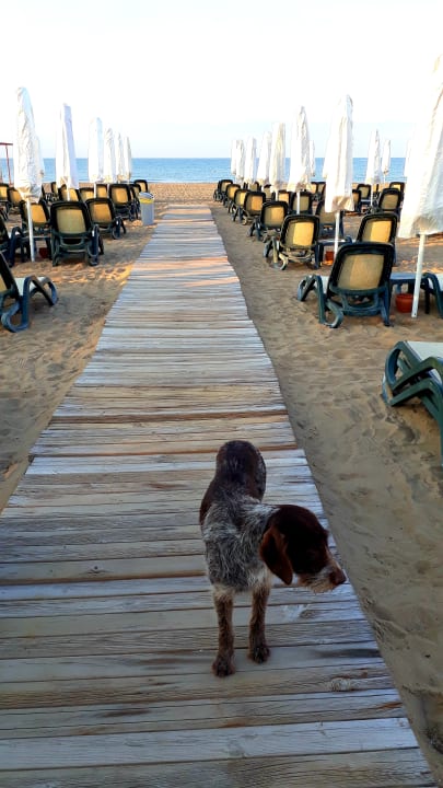 Strand Sentido Trendy Verbena Beach