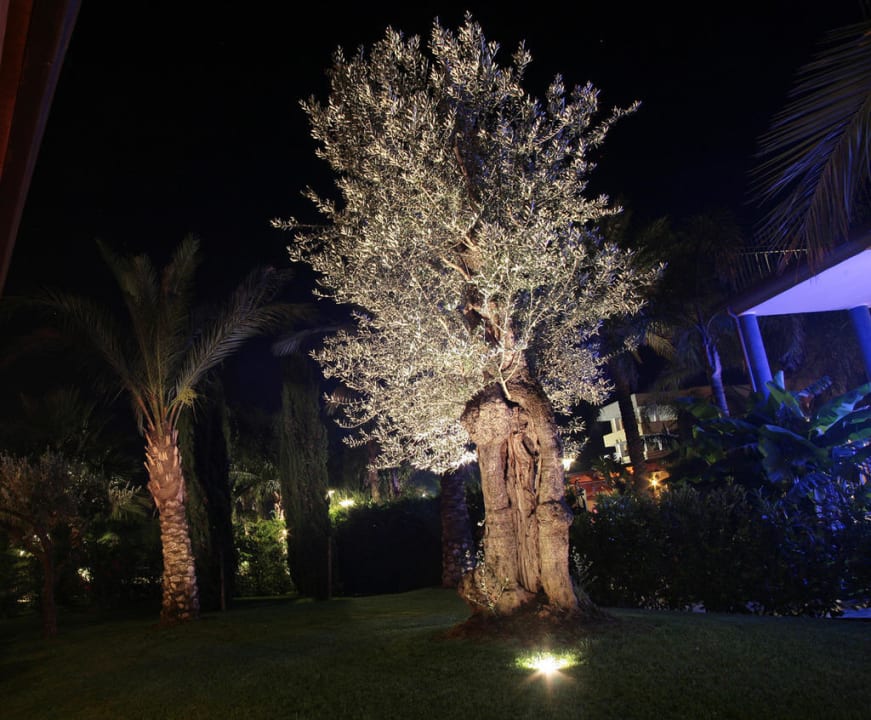Uno splendido parco fiorito e verdeggiante Hotel San Luca
