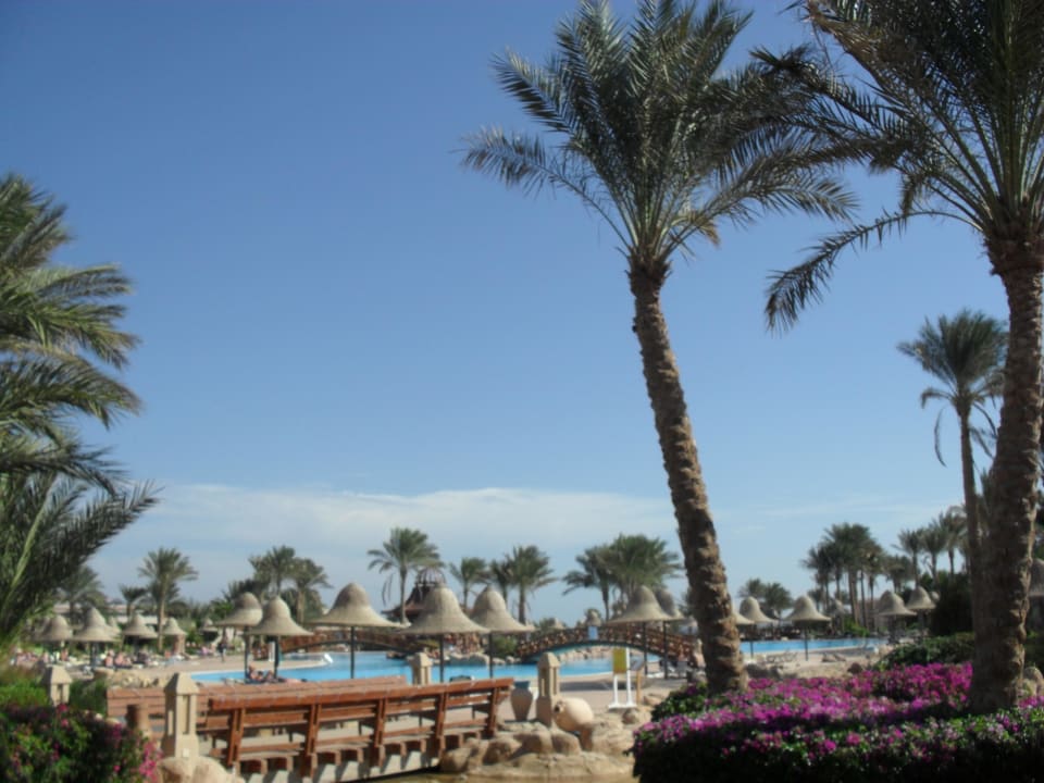 Basen Parrotel Beach Resort