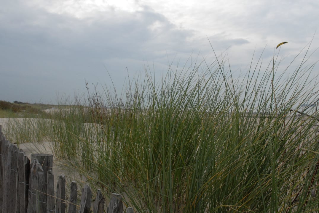 Sehr schöner Strand Dormio Strand Resort Nieuwvliet-Bad