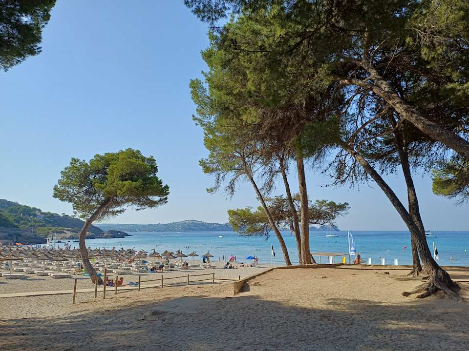 Strand allsun Hotel Bella Paguera