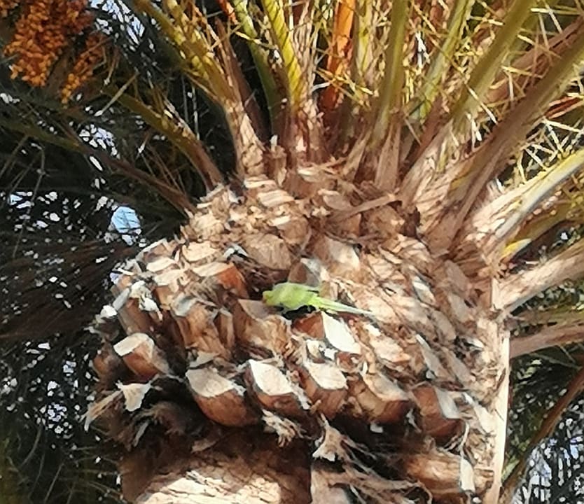 Sonstiges Hipotels La Geria