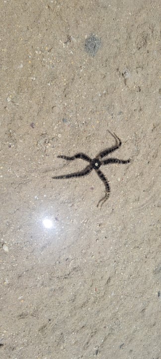 Strand Titanic Beach Spa & Aqua Park