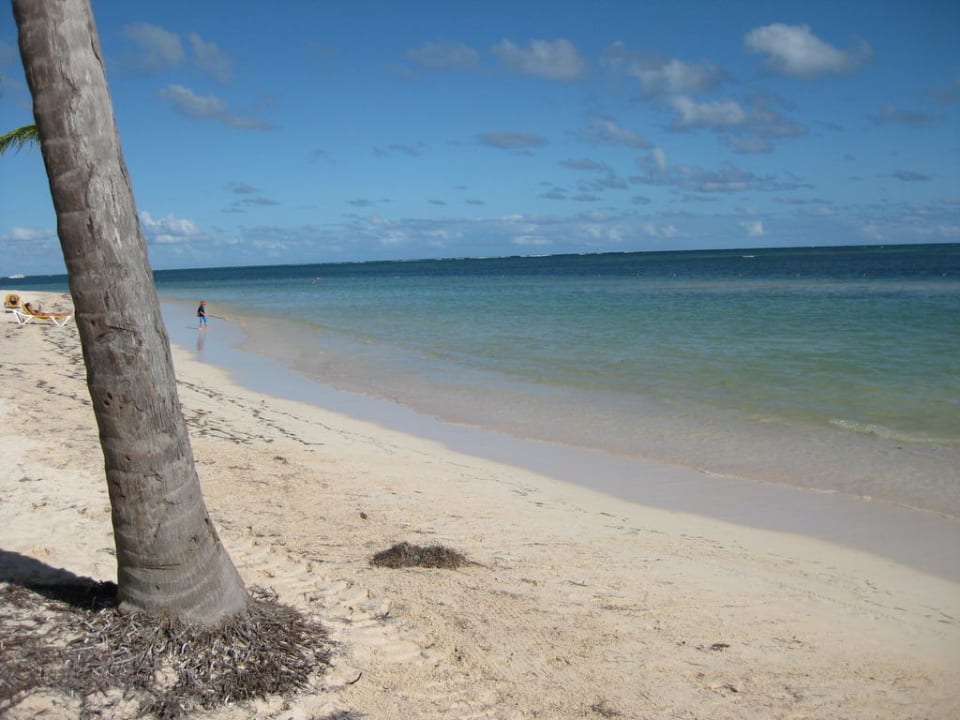 Strand Catalonia Royal Bavaro - Adults only