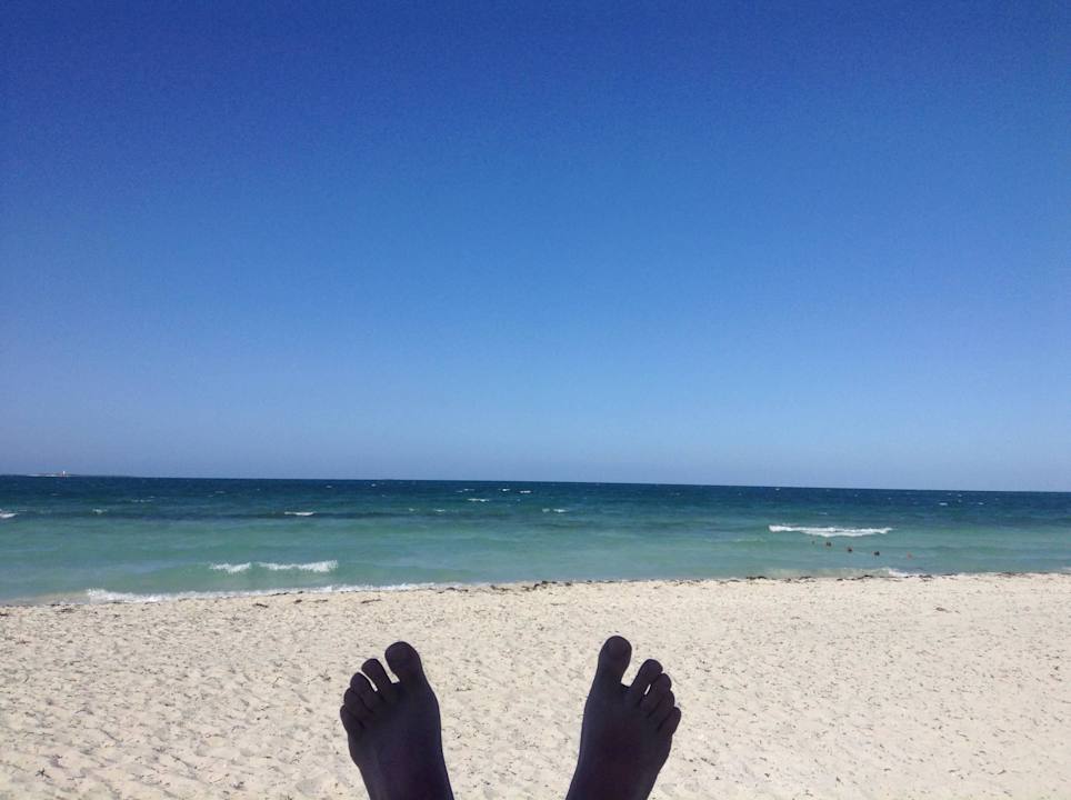 So lieb ich das  Iberostar Origin Playa Alameda