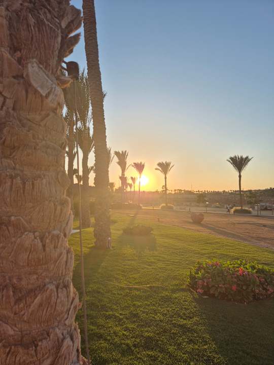 Gartenanlage Jaz Solaya