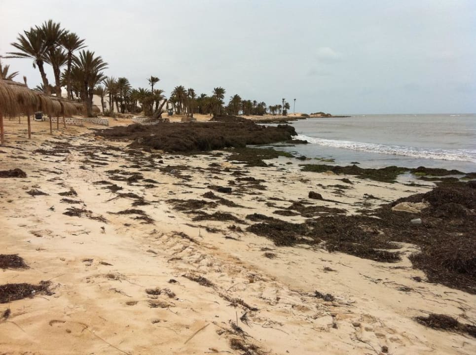 Strand Hotel El Mouradi Djerba Menzel
