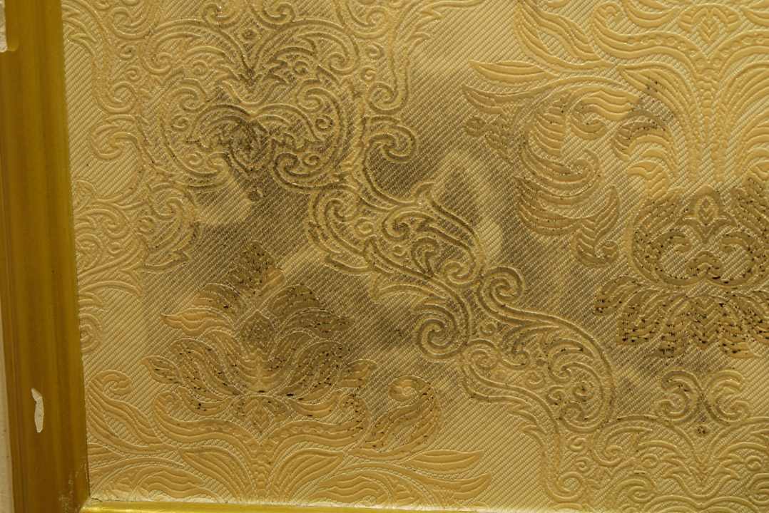 Heavy mould on tapestry Hotel Thaison Palace