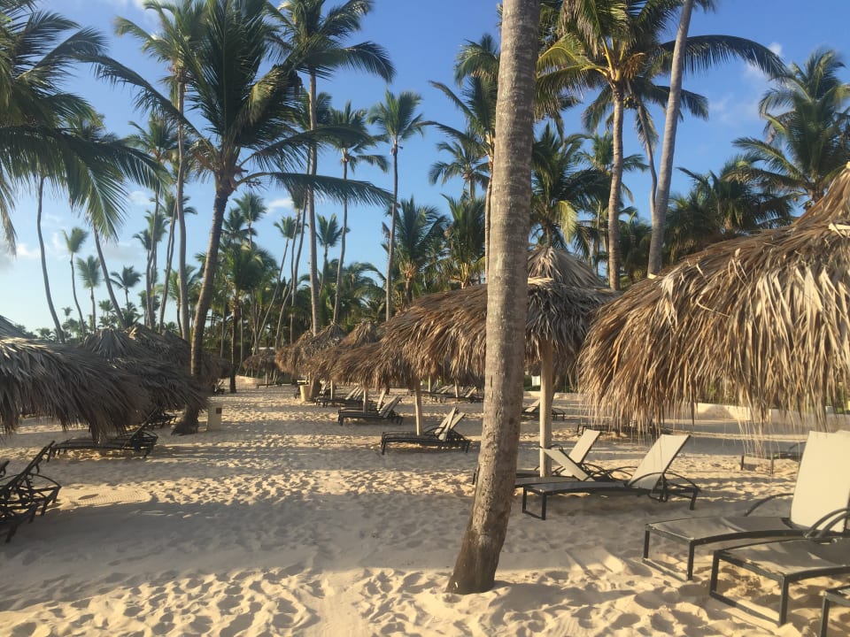 Strand Paradisus Punta Cana Resort (Im Umbau/Renovierung)