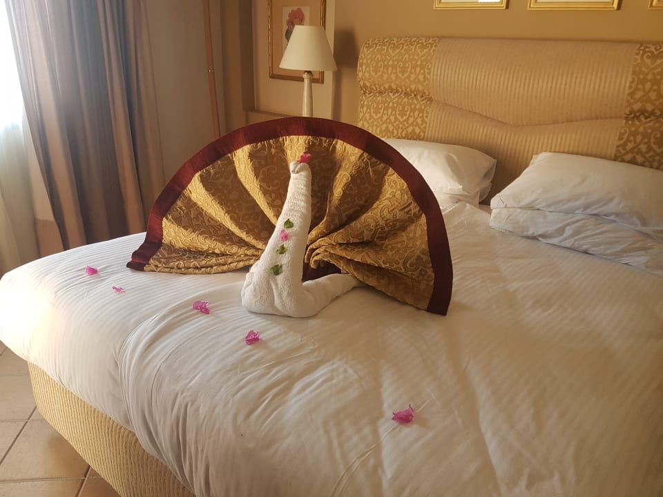 Zimmer Steigenberger Coraya Beach - Adults only