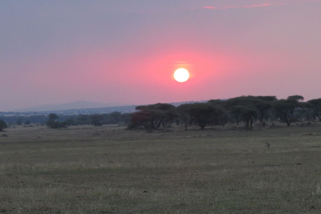 Sundowner Serengeti Serena Safari Lodge