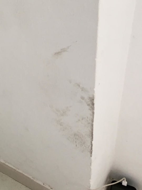 Zimmer Perla Seven Apartments