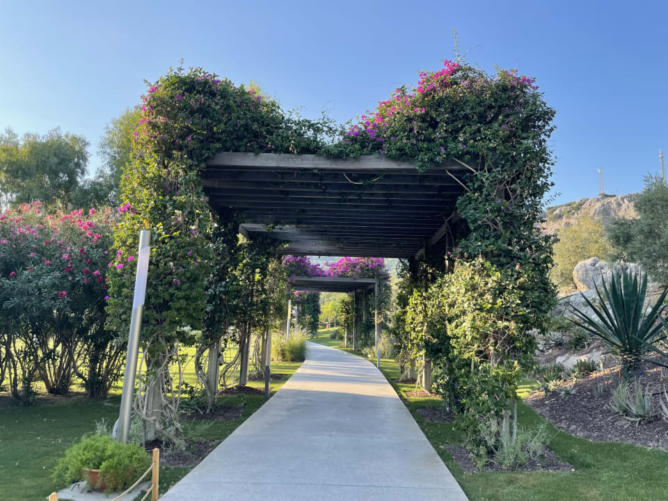 Gartenanlage TUI BLUE Sarigerme Park