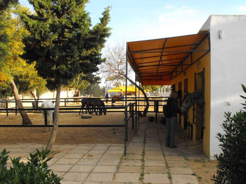 Der Reitstall am Hotel Hotel El Mouradi Cap Mahdia