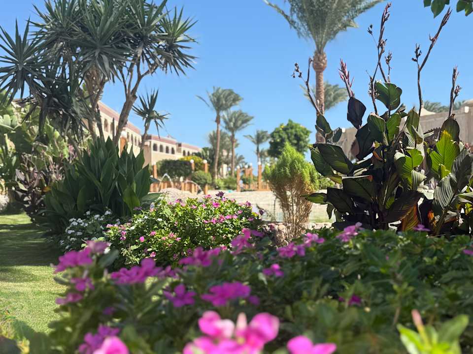 Außenansicht Sentido Mamlouk Palace Resort