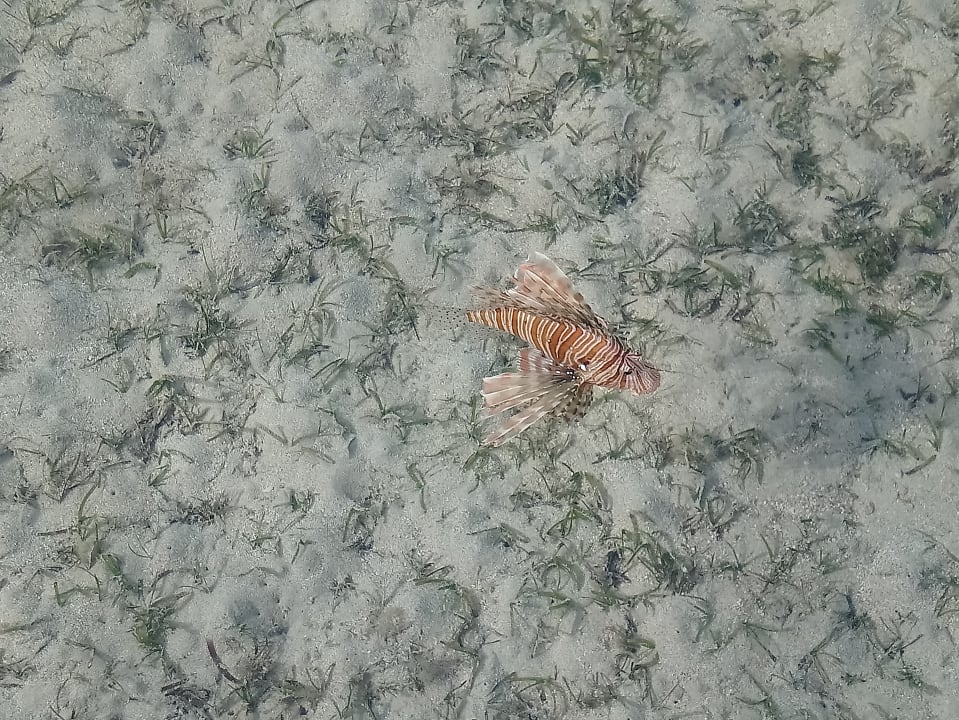 Strand Regency Plaza Aqua Park & Spa