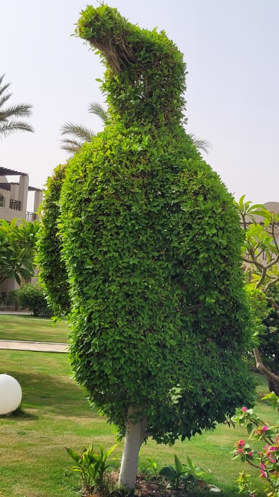 Gartenanlage Jaz Makadi Oasis Resort