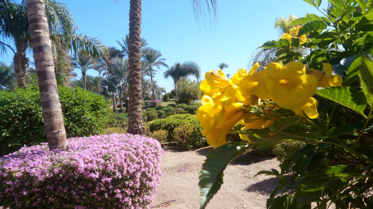 Garten Steigenberger Aqua Magic