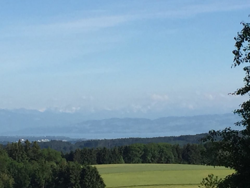 Blick Richtung Bodensee Ferienhof Jehle