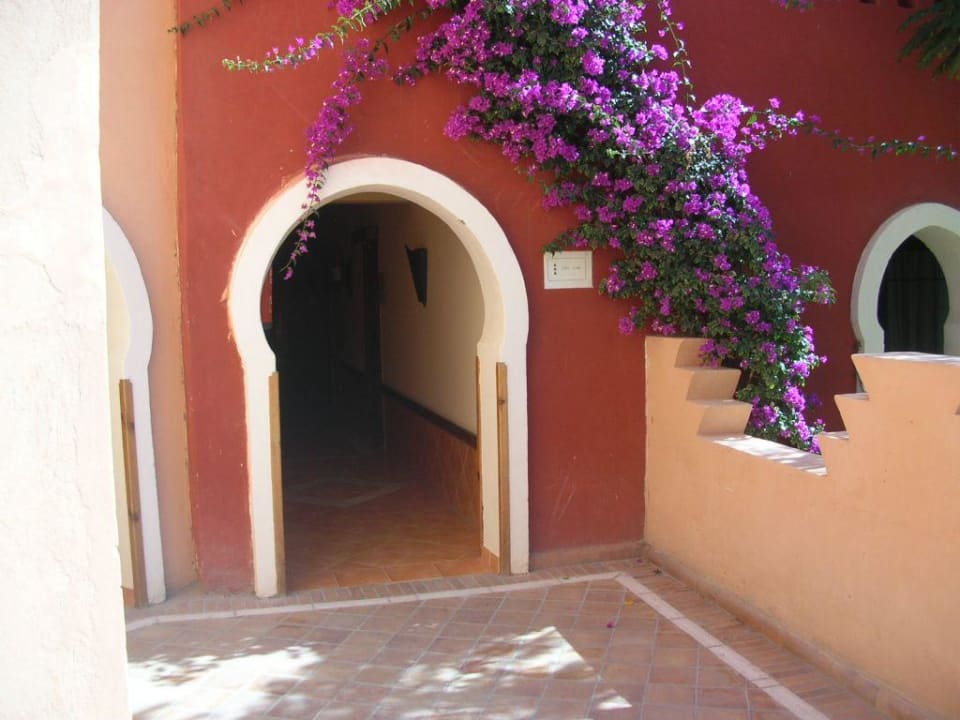 Blumenschmuck Grand Makadi