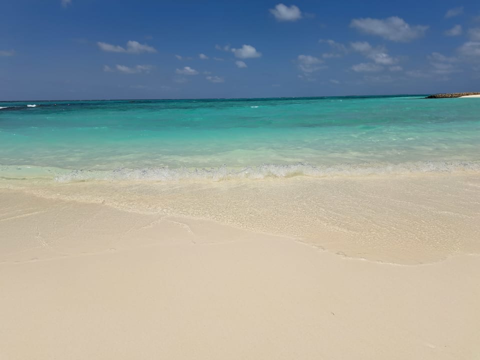 Strand Summer Island Maldives