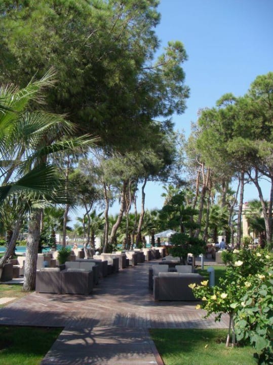 Бар Gloria Serenity Resort