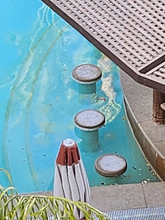 Pool Grand Waterworld Makadi & Family Star Makadi