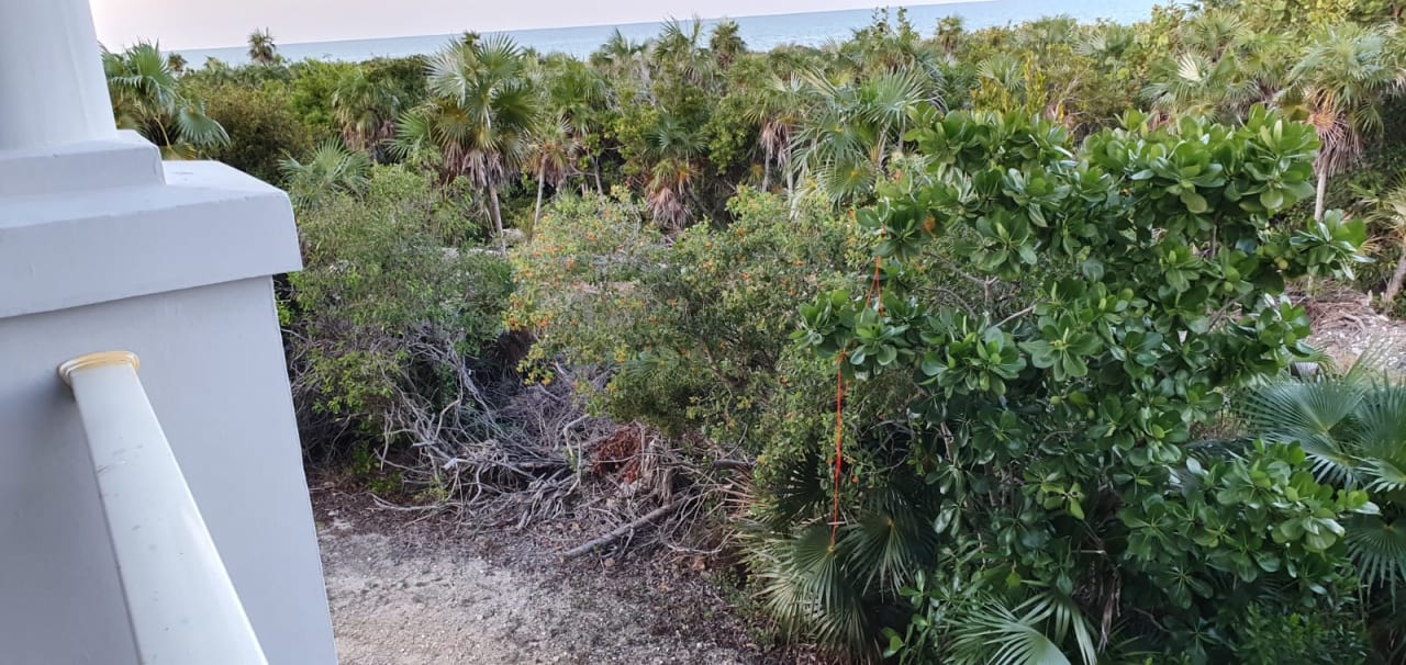 Ausblick Melia Las Dunas