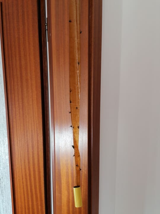 Zimmer Ferienwohnung Drei Eichen II