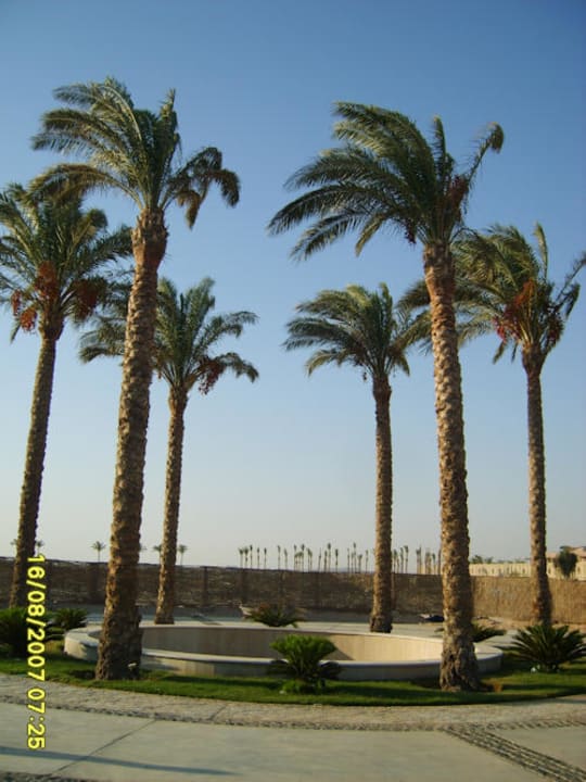 Makadi Family Star Grand Waterworld Makadi & Family Star Makadi