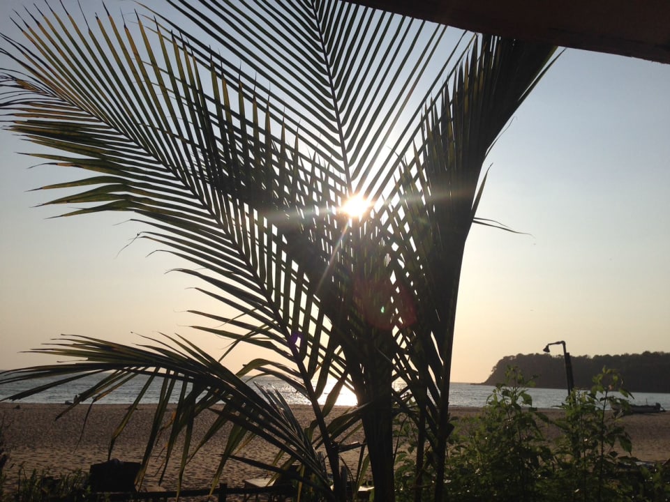 Gartenanlage LABRANDA Marieta - Adults only