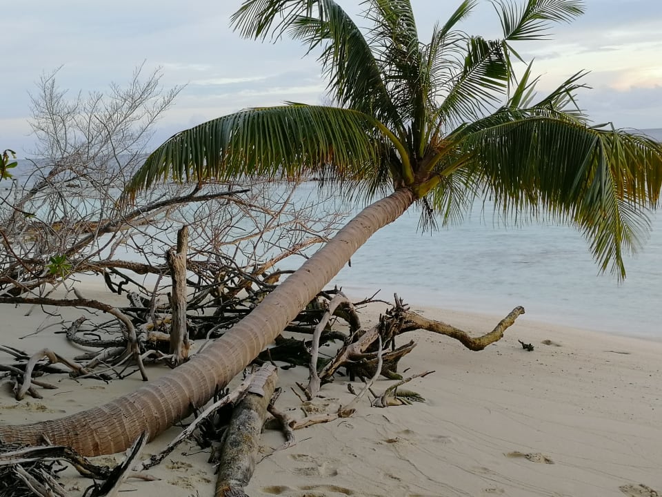 Strand Embudu Village