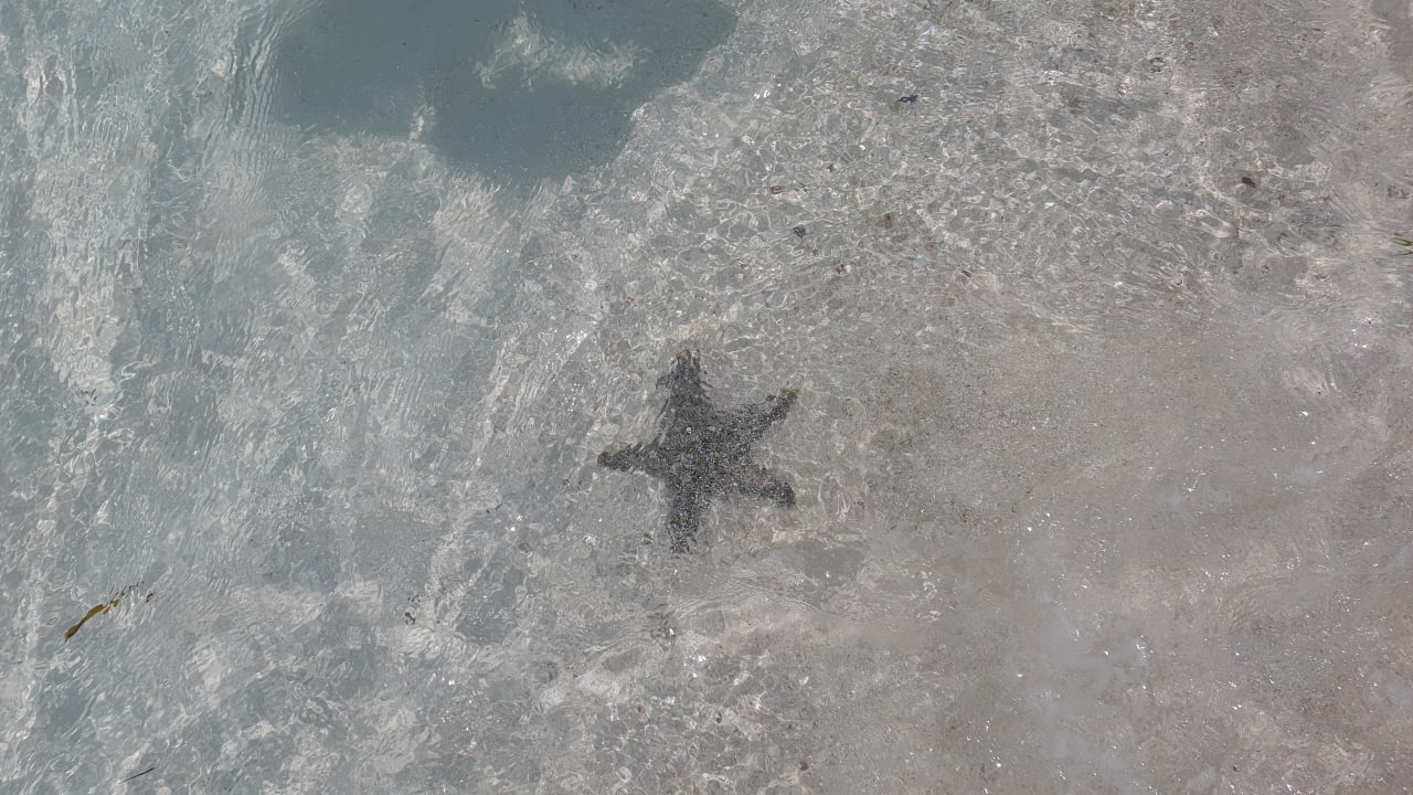 Strand Hotel Riu Palace Zanzibar