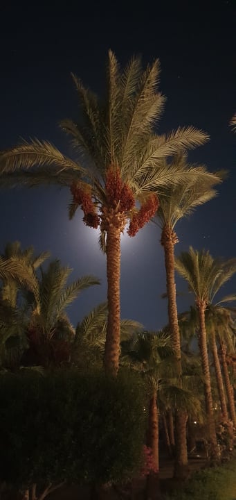 Gartenanlage Brayka Bay Resort