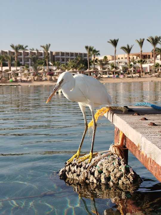 Strand Brayka Bay Resort